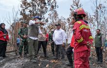 Kebakaran Hutan Ancam Habitat Orang Utan, Menhut Minta Patroli Rutin