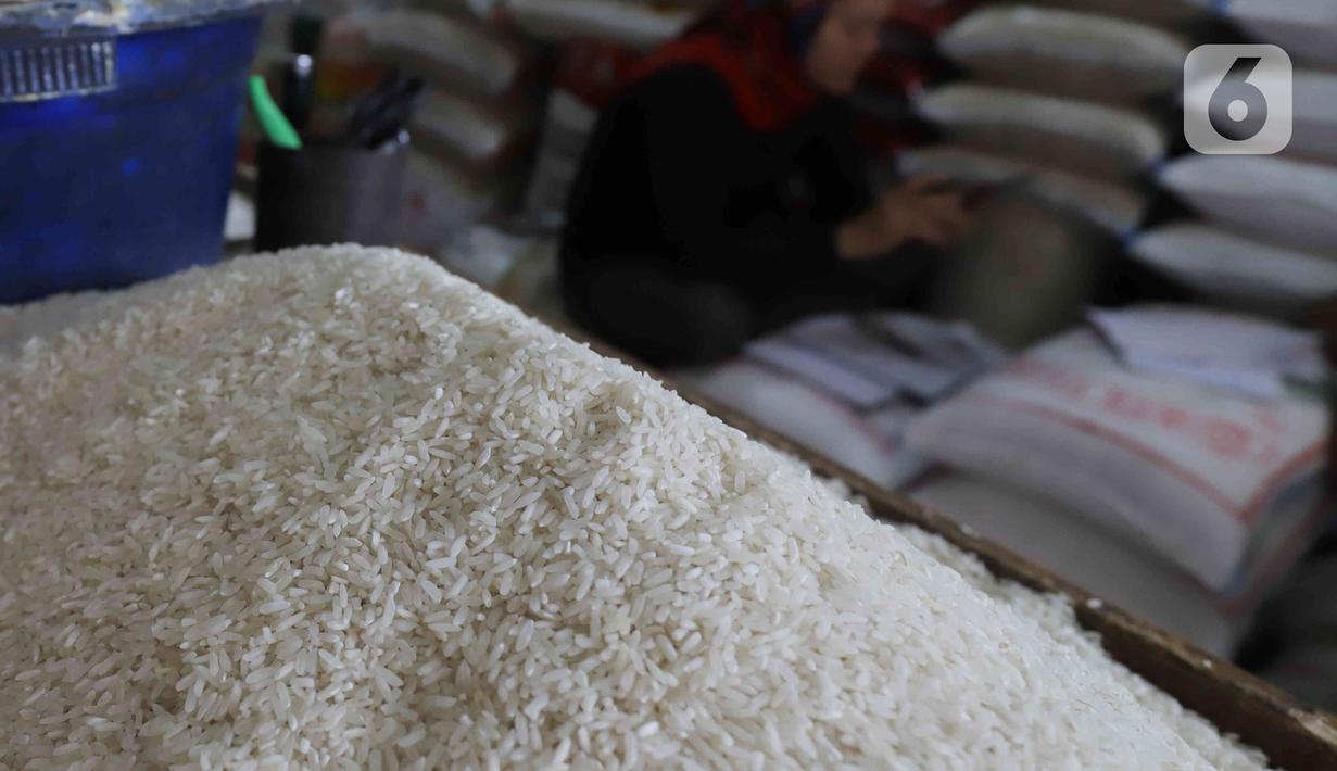Pedagang beras menunggu pembeli di Pasar Santa, Jakarta, Kamis (8/12/2022). Menteri Perdagangan Zulkifli Hasan mengatakan, jelang Hari Besar Keagamaan Nasional (HBKN) Natal 2022 dan jelang Tahun Baru 2023, secara umum harga dan stok barang kebutuhan pokok dalam kondisi aman dan stabil. (Liputan6.com/Herman Zakharia)