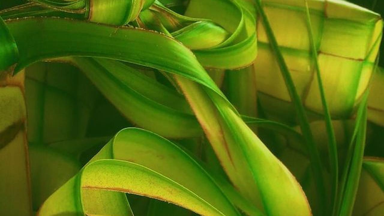 Pantun Ucapan Selamat Hari Raya Idul Fitri 2024
