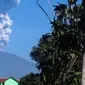 Letusan Gunung Merapi pada Jumat (1/6/2018) pagi, menyebabkan terjadinya hujan abu di sekitar Kabupaten Magelang, Jawa Tengah. (Liputan6.com/Fajar Abrori)