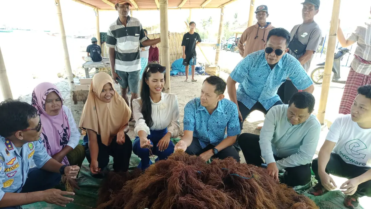 Direktur Utama PT Blue Bird Tbk Adrianto Djokosoetono bersama Kepala Dinas Perhubungan NTB Lalu Moh. Faozal dan Kepala Dinas Kelautan dan perikanan Lotim saat meninjau kelompok budidaya rumput laut di Desa Ekas Buana, Kecamatan Jerowaru, Lombok Timur.