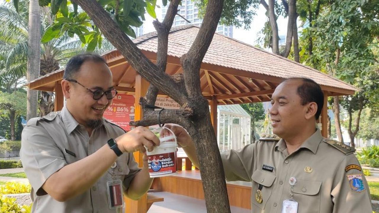 Trivia: 60% Nyamuk Lokal Srengseng Kini Ber-Wolbachia, Tekan Risiko DBD di Jakarta Barat