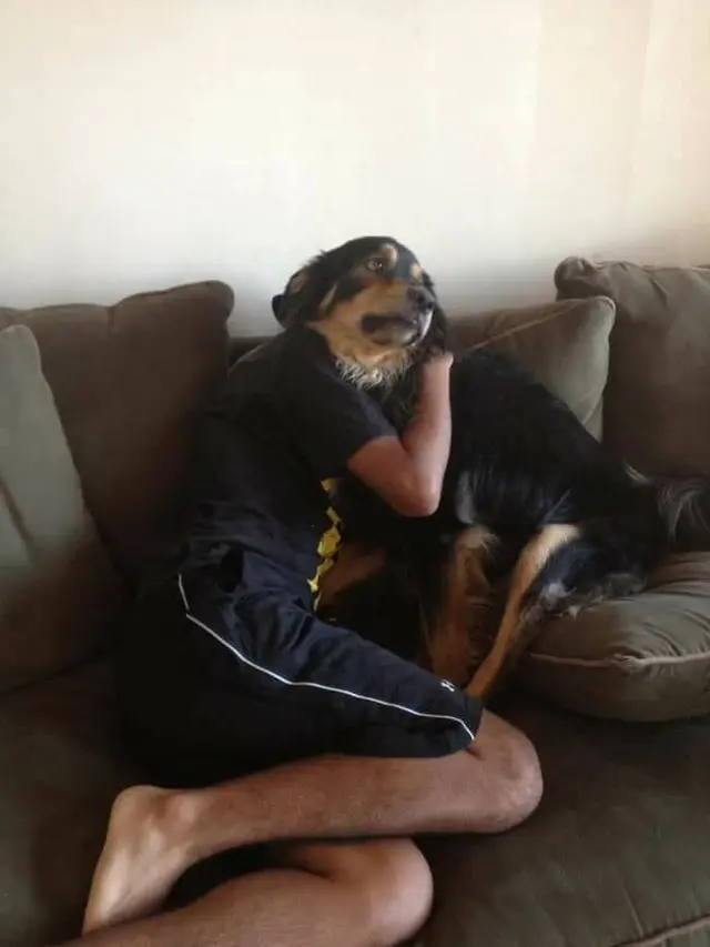 6 Ilusi Optik Anjing Ini Menipu Mata, Butuh Ketelitian
