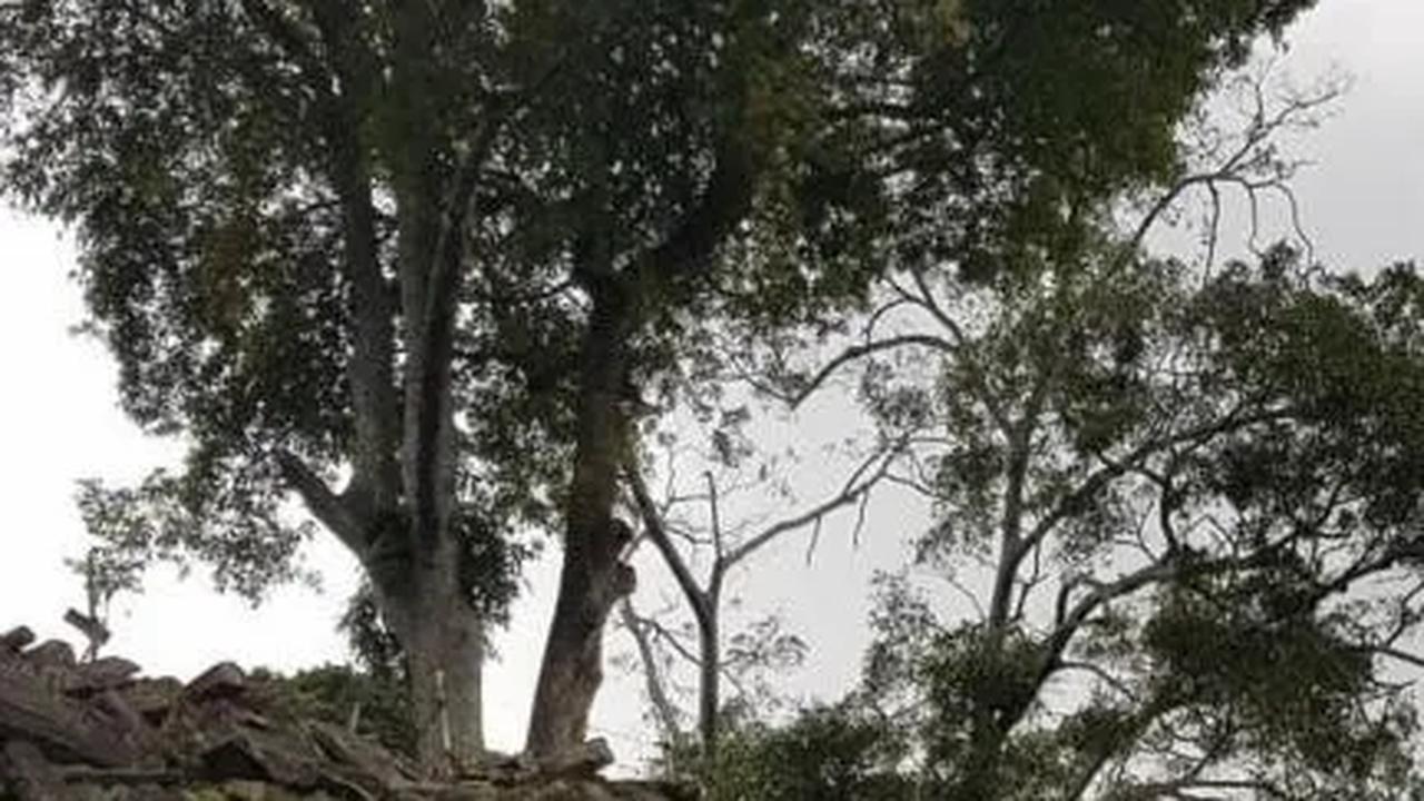 Bukti Baru Kian Menguatkan Gunung Padang Sebagai Piramida Tertua di Dunia, Lebih Tua dari Piramida Mesir