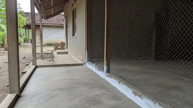 Kandang Ayam dengan Lantai Cor Beton