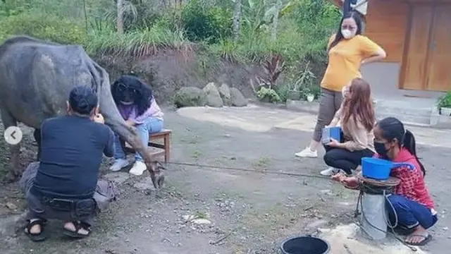 Desa Wisata Huta Tinggi