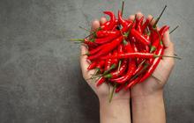 Harga Cabai Meroket tapi Petani Sedih, Ini Fakta di Baliknya