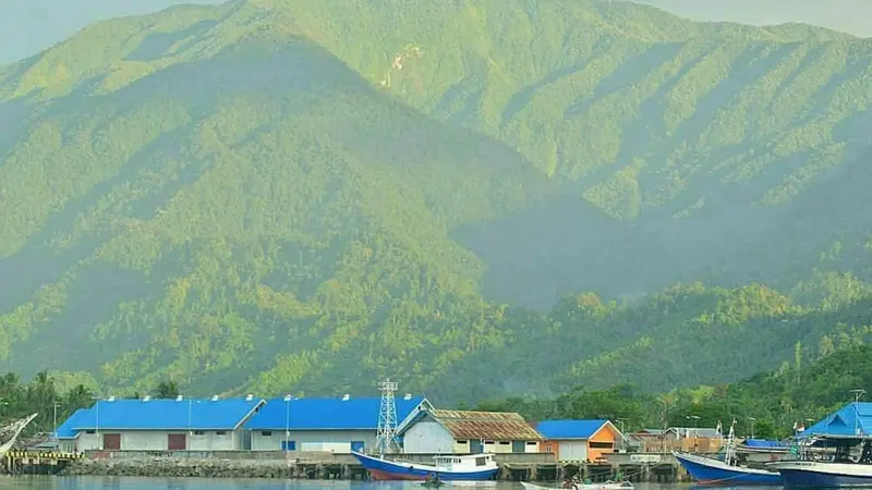 Gunung Sojol di Sulawesi Tengah