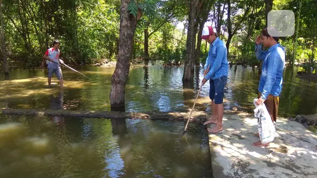 banjir sayung