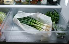 Cara Menyimpan Daun Bawang di Kulkas agar Tidak Cepat Layu, Jaga Kesegarannya Tanpa Ribet