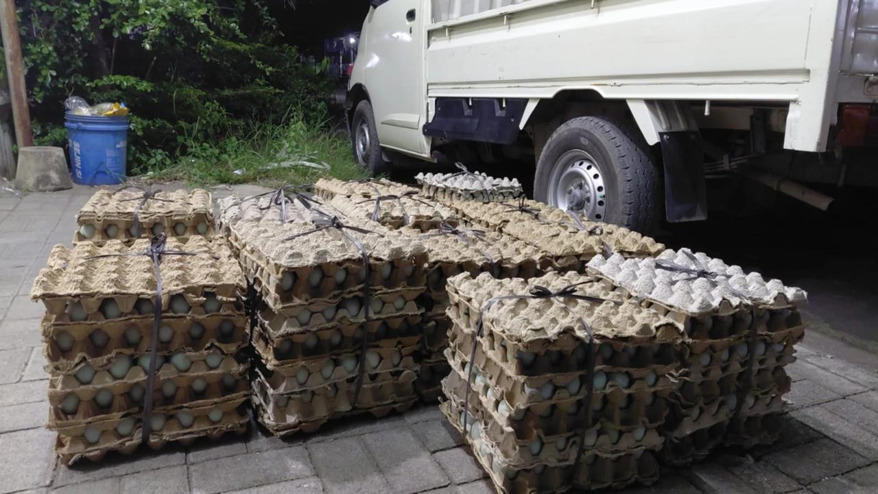 PMI Kirim 100.000 Butir Telur Asin untuk Korban Banjir di Sumatra