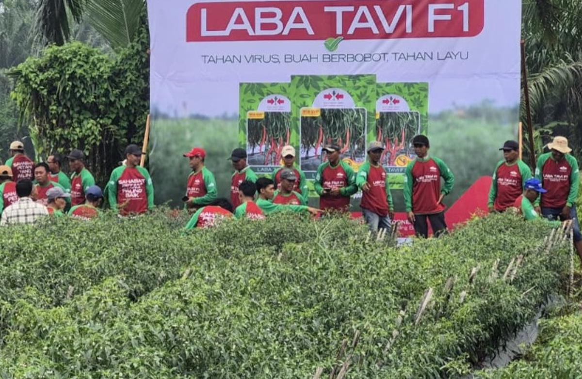 Edukasi dan Bukti Nyata di Lapangan