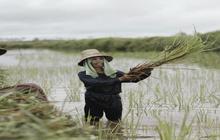 Terima Kasih Petani Jatim Sambut Tambahan Pupuk Subsidi Rp28 Triliun