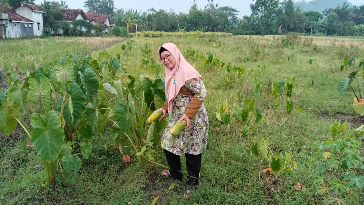 Suprihatin (58), salah seorang pengurus Kelompok Wanita Tani (KWT) asal Kalurahan Sidoagung, Kapanewon Godean, Sleman