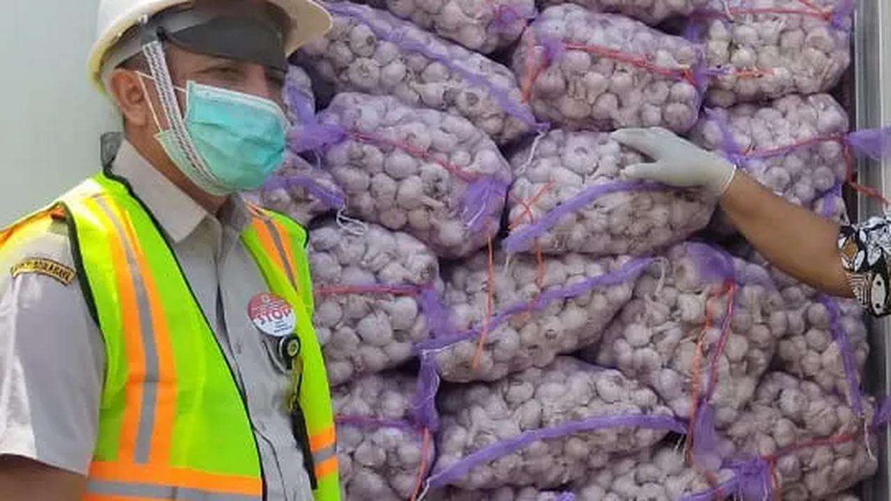 Mulai 2024, Kementan Batasi Impor Bawang Putih Maksimal 650 Ton per Importir
