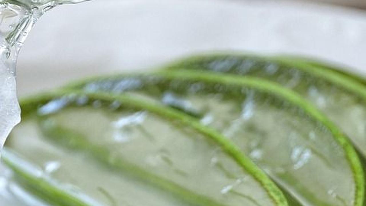 5. Nata de Coco dari Lidah Buaya<br>