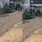 Viral Warga di Lampung Timur Tambal Jalan Rusak Pakai Cangkang Kerang