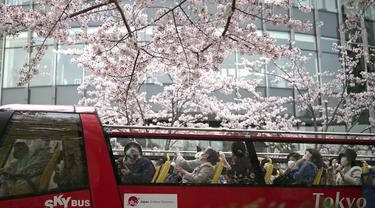 Jepang Nikmati Musim Bunga Sakura di tengah Kekhawatiran COVID-19