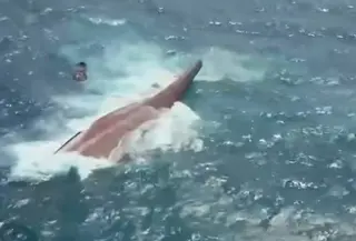 Penampakan KM Virgo Transport 8 yang tenggelam di perairan Laut Jawa. (Liputan6.com/ Dok Liputan6 SCTV)