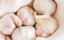 Manfaat Golden Garlic untuk Kesehatan, Bawang yang Punya Sebutan Istimewa