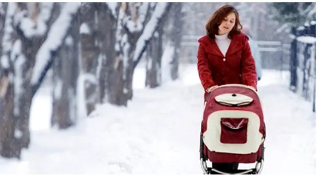 Foto : copyright oddee.com