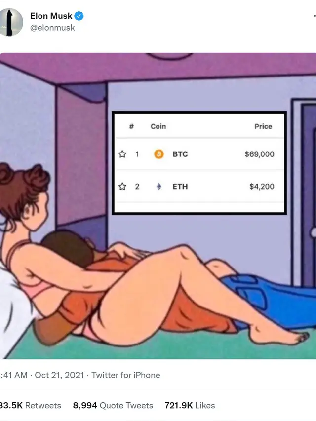 Meme Milik Eva Beylin yang Diunggah Elon Musk