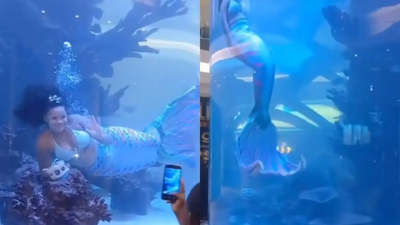 Putri Duyung Tampil di Akuarium