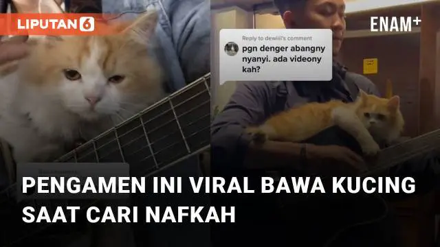Seekor kucing menemani majikannya saat sedang cari nafkah viral di media sosial