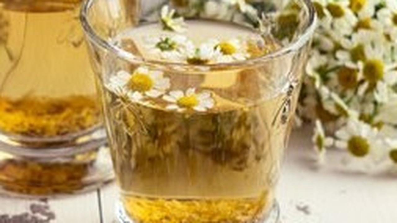 Namun, sebaiknya konsultasikan dengan profesional kesehatan sebelum menambahkan chamomile ke dalam rutinitas harian Anda, terutama jika Anda memiliki kondisi kesehatan tertentu.