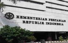 Blak-blakan Kementan Ungkap Indah Megahwati Korupsi Rp27 Miliar: Terbongkar dari Pengakuan dan Audit Resmi