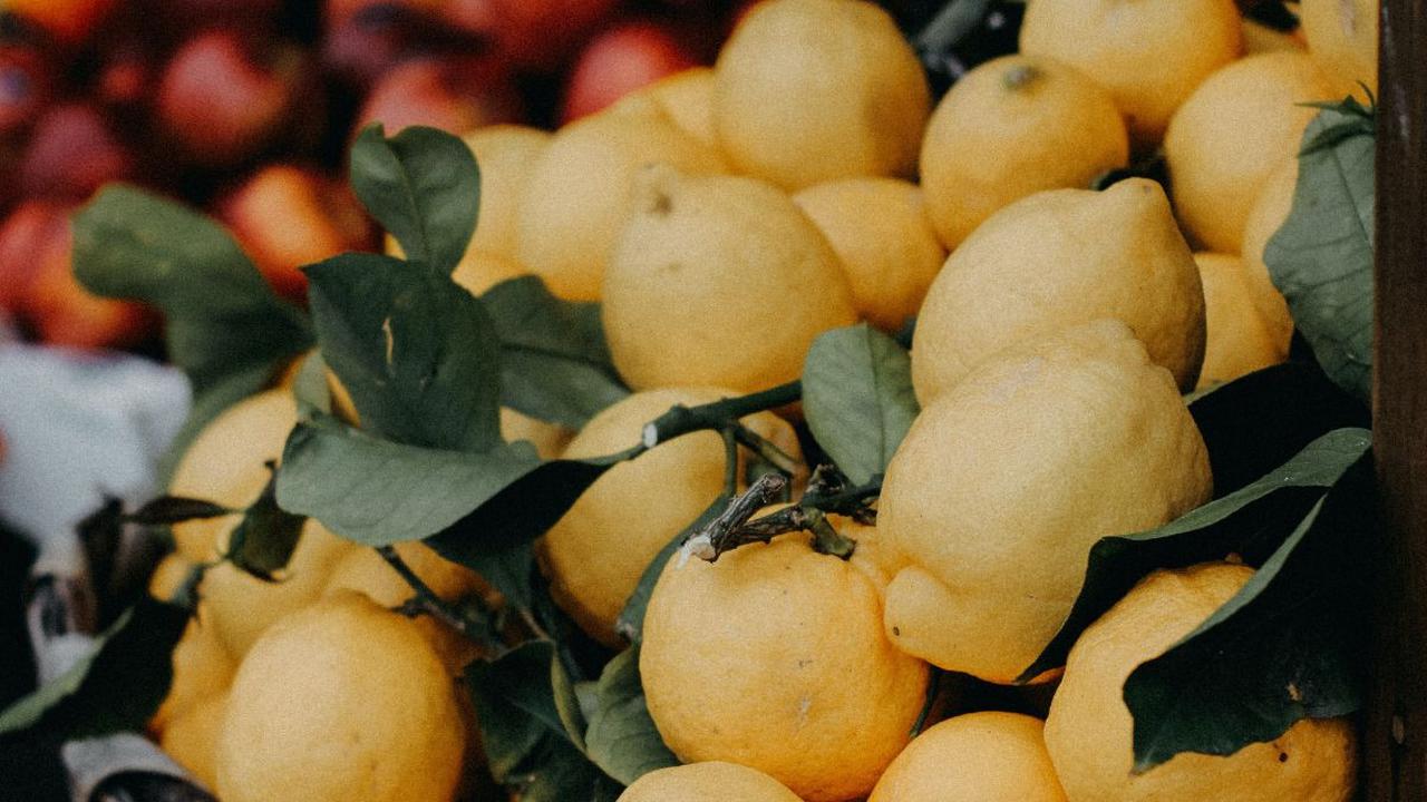 Resep Olahan Jeruk untuk Hidangan Sehari-hari