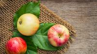 Ilustrasi Buah Apel Credit: unsplash.com/Aphiwat
