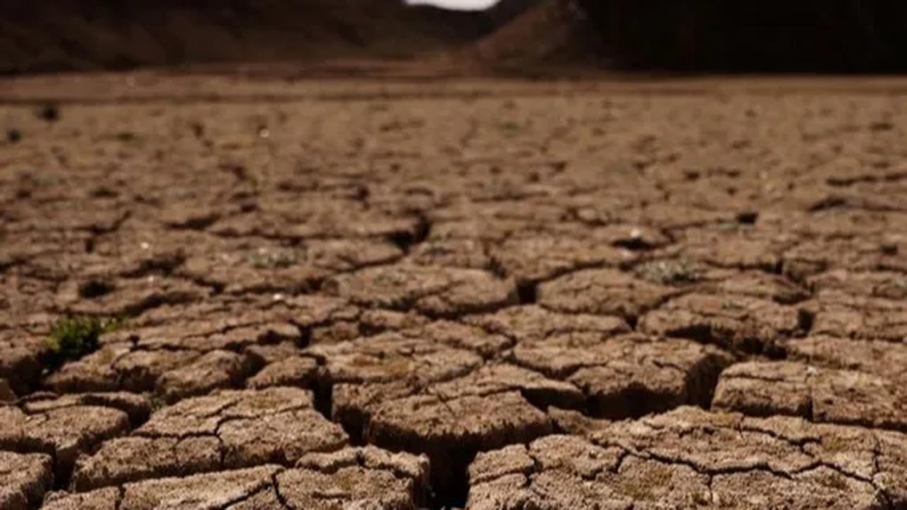 Fenomena El Nino atau pemanasan suhu di Indonesia telah merenggut korban jiwa.