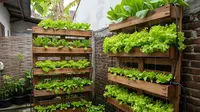 9 Ide Kebun Sayur Untuk Rumah Tanpa Tanah Terbuka, Jadikan Lahan Terbatas Lebih Fungsional