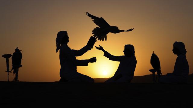 FOTO: Melatih Elang di Gurun