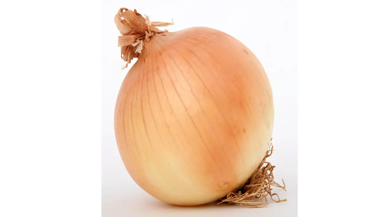 Jangan Buang Kulit Bawang Bombay Saat Memasak