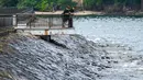 Tumpahan minyak terdampar di garis pantai negara kota tersebut menyusul kecelakaan di terminal pelabuhan Pasir Panjang. (ROSLAN RAHMAN/AFP)