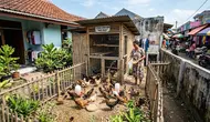 7 Ternak Hewan Mini untuk Rumah Dekat Pasar, Pakan Gratis dari Sisa Sayur