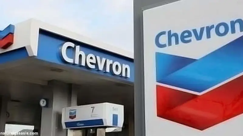 nasib-chevron130115c.jpg