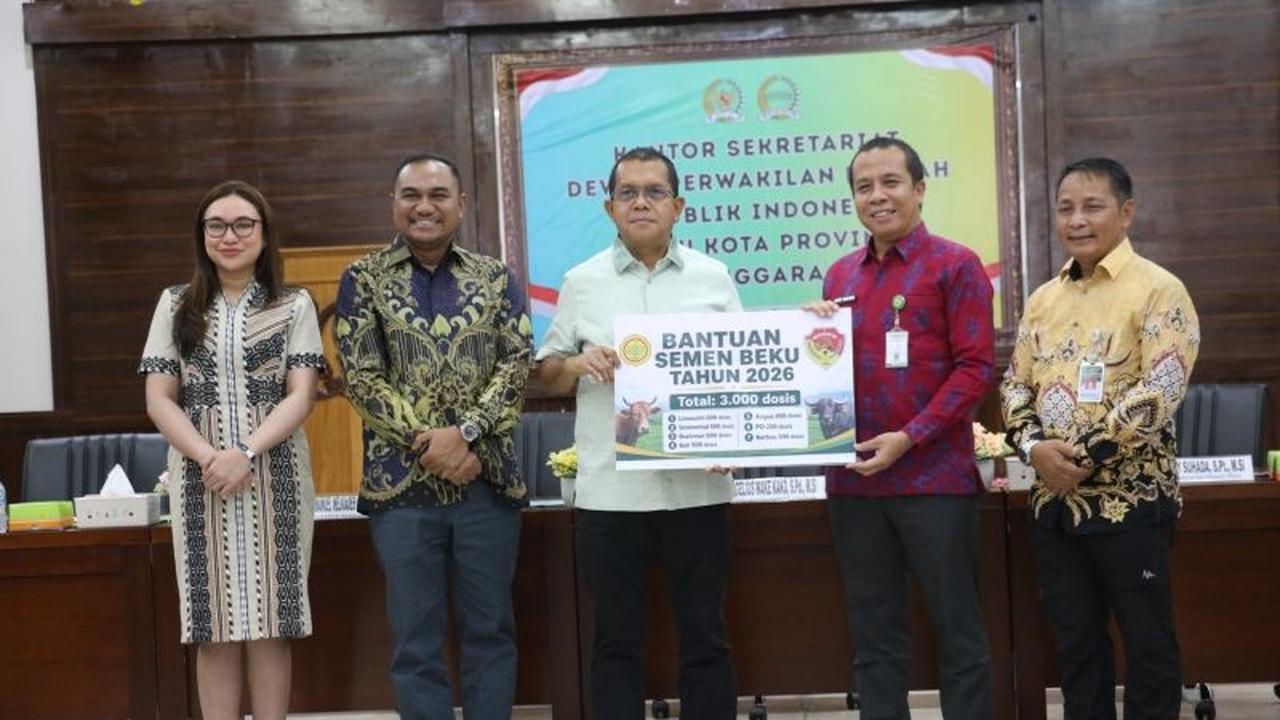 NTT Perkuat Sektor Peternakan: 3.000 Dosis Semen Beku Sapi Tingkatkan Populasi dan Mutu Genetik