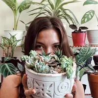 Angela Gilsha, di tengah kesibukannya berkarier masih sempat meluangkan waktunya untuk menjalani hobi. Salah satunya, merawat tanaman. Bukan seperti kebanyakan orang yang hobi dadakan saat pandemi covid-19, namun ia sudah menyukainya sejak lama. (Instagram/angelagilsha)