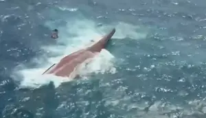 Korban Selamat Ungkap Detik-Detik KM Virgo Transport Terbalik dan Karam di Laut Jawa