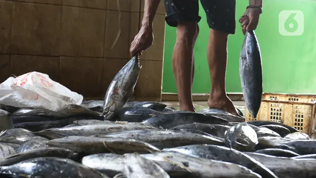 Dulu Dianggap Limbah, Ikan Ini Bikin Istri Nelayan Raup Omzet Rp 1 Miliar