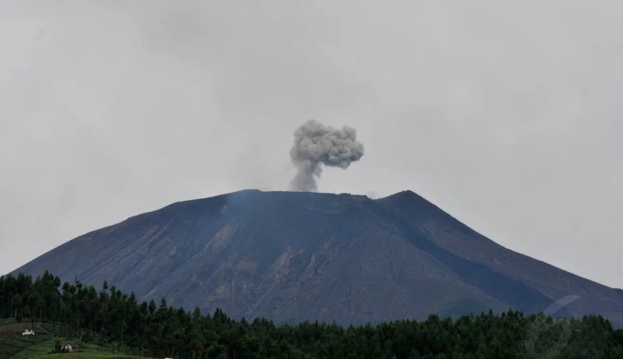 Gunung Slamet terhitung 29 April meningkat statusnya dari Waspada menjadi Siaga. (Liputan6.com/Andrian M Tunay)