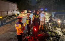 Viral 10 Kendaraan Tertimpa Pohon Jati Tumbang di Jalan Pantura Batang, Jalan Tertutup hingga Macet 6 Jam
