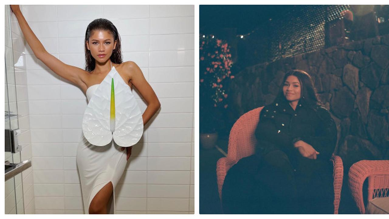 6 Potret Zendaya Jadi Pengisi Suara Tokoh Felicia di Film Shrek 5,