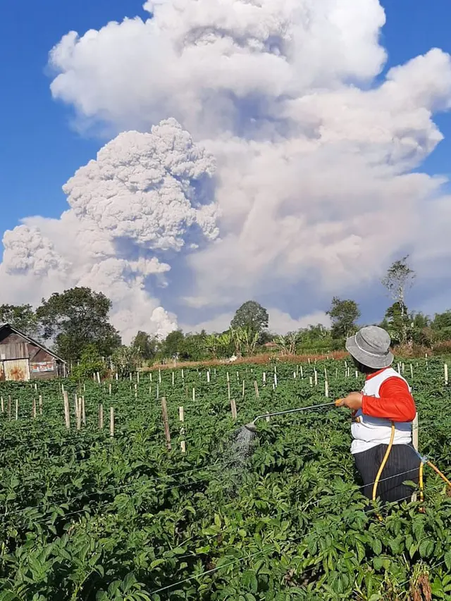 17 Macam Pencemaran Terhadap Lingkungan Hidup Beserta Penyebab dan Dampaknya