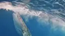Meski bukan kali pertama , namun unggahan Ria Ricis berenang bareng hiu paus di Sumbawa ini menggambarkan dirinya tetap bahagia meski rumah tangganya berada di ujung tanduk. (Liputan6.com/IG/@riaricis1795)