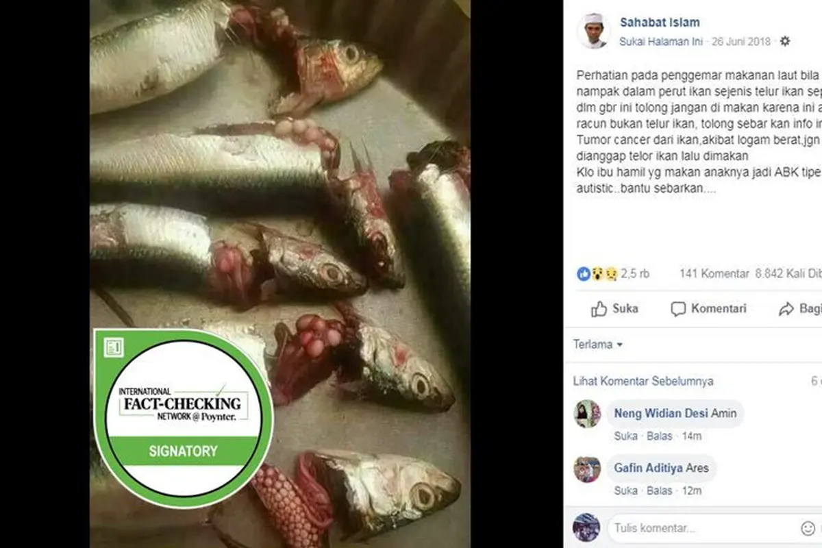 [Cek Fakta] Hoaks Telur Ikan Sarden Berancun 