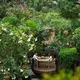 JimBARan Lounge kembali dibuka menjadi hidden sanctuary untuk merasakan slow living di tengah Jakarta (AYANA MidPlaza Jakarta)